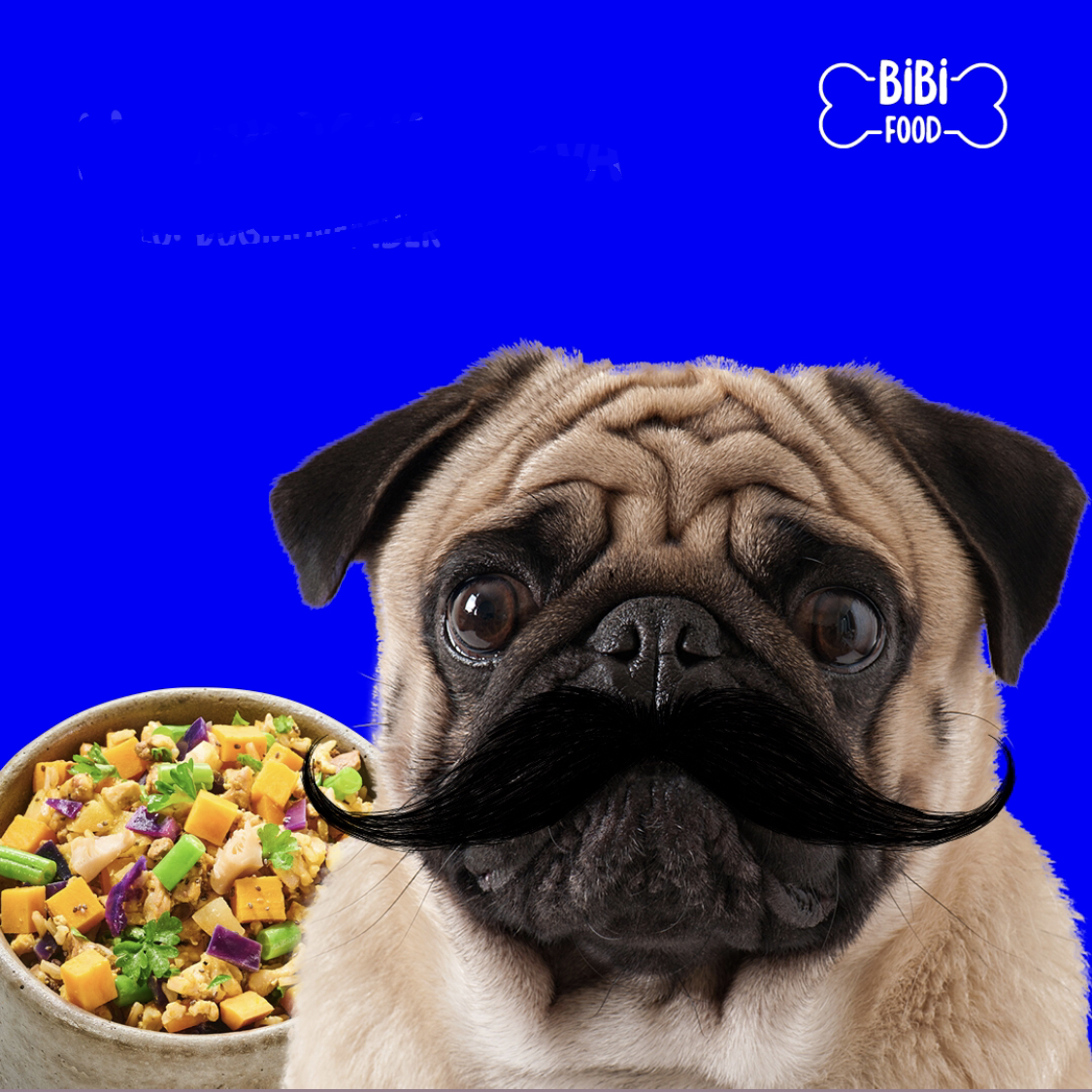 Psí movember aneb jak si s důvěrou v obrázky na obalech psích krmiv koledujeme o rakovinu