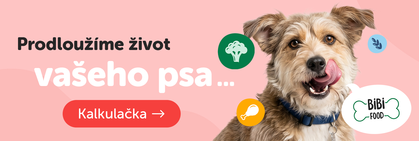 Změňte život vašeho psa