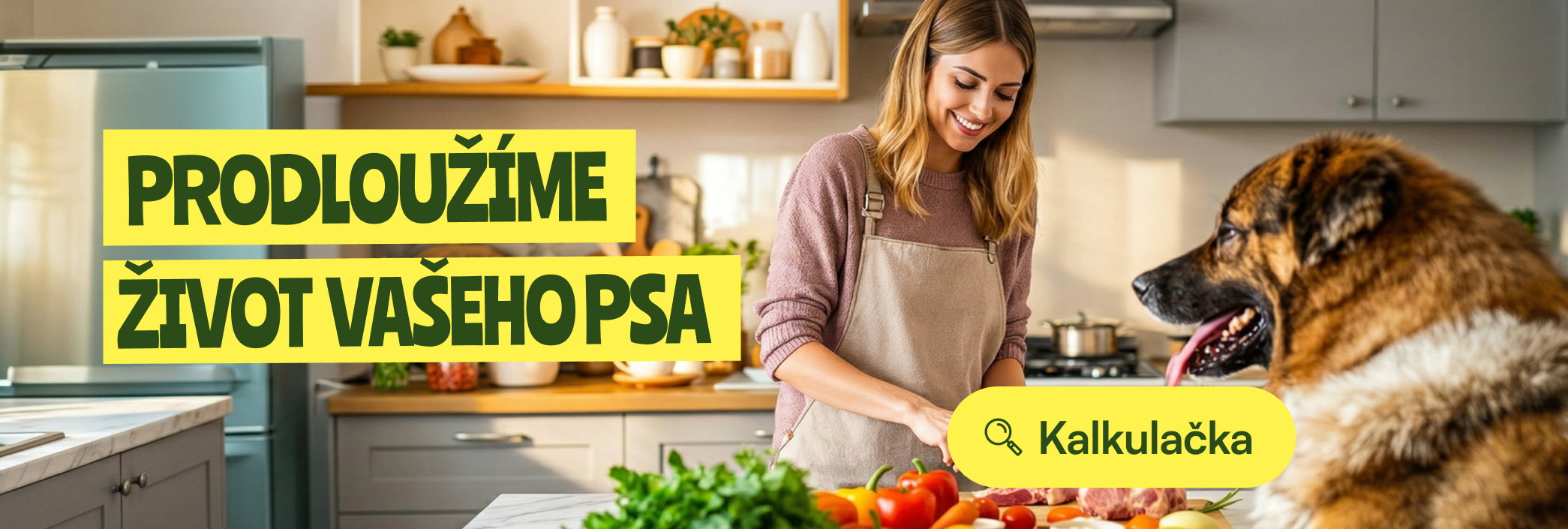 Změňte život vašeho psa