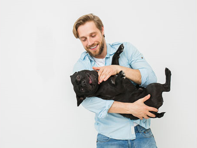 veterinar