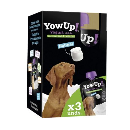 Jogurt pro psy a kočičky