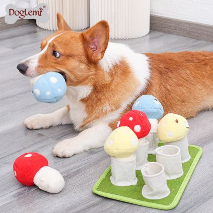 Čmuchací koberečky pro psy