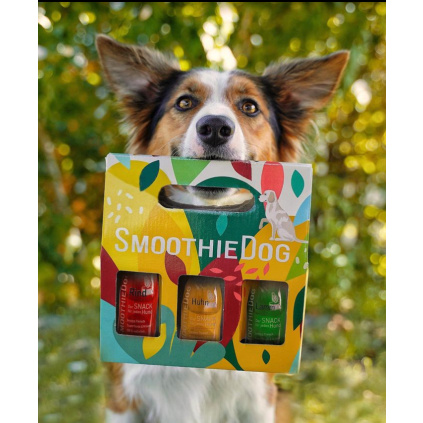 Dárkový mix vývar pro psy