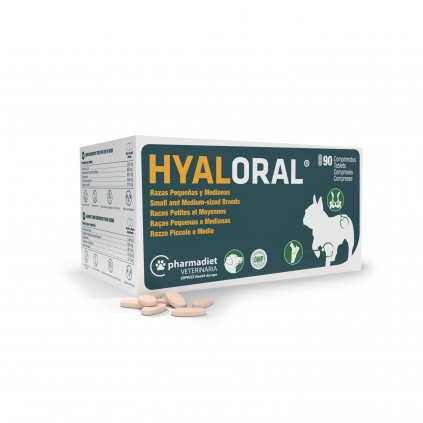 Hyaloral Razas Pequeñas 90png