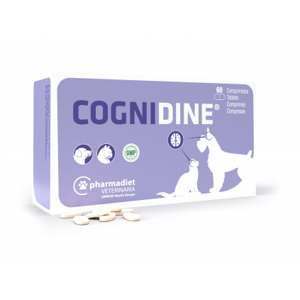 Cognidine 3D C60tbl