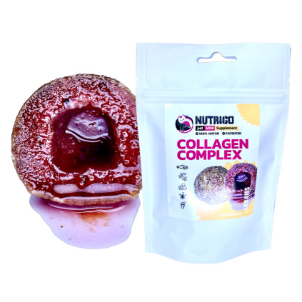 Nurtigo Collagen Complex,Mini,75g