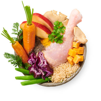 Kuře z dvorku vařené psí jídlo