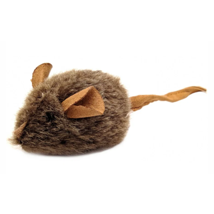myš