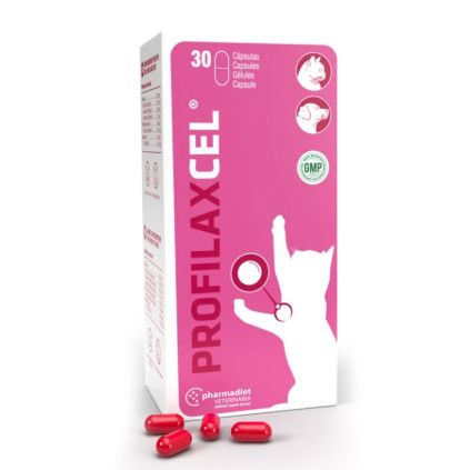 Profilaxcel 30 tbl.