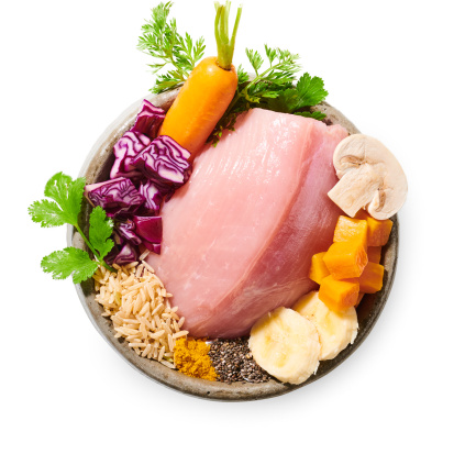 Krůtí hudry vařené psí jídlo