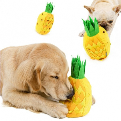 ananas