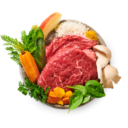 Hovězí búúú vařené psí jídlo