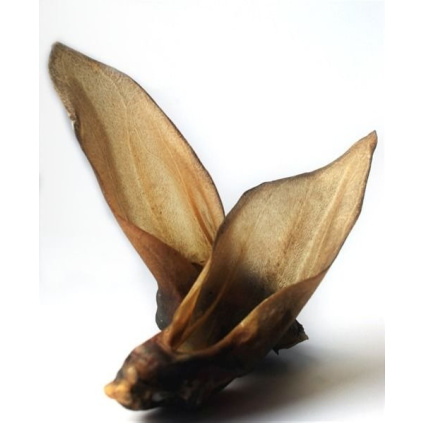 Jelení sušené ucho pro psy