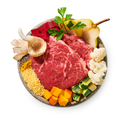 Hovězí kastrol vařené psí jídlo