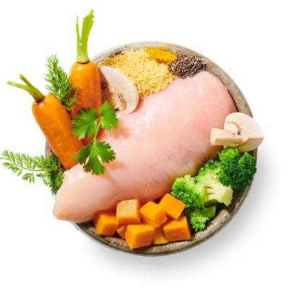 Kuře z kuřete vařené psí jídlo