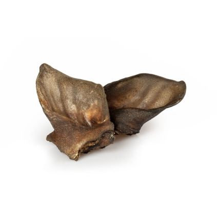 Kančí sušené uši pro psy