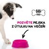 Vařené psí jídlo - večeře pro dalšího