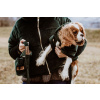 dogidigi 027 1