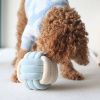 Pups & Bubs interaktivní hračky čichací uzlík