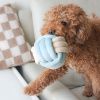 Pups & Bubs interaktivní hračky čichací uzlík