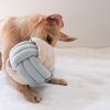 Pups & Bubs interaktivní hračky čichací uzlík