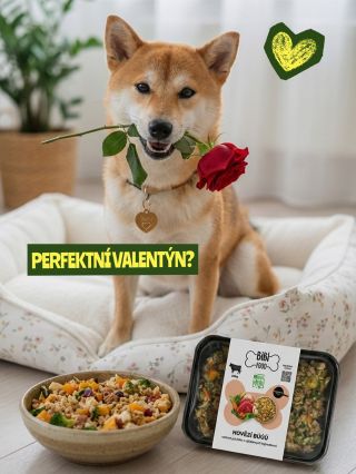 Zapomeňte na kytky a bonboniéry. 🥀 Cesta k opravdové lásce vede přes žaludek – a u psů to platí dvojnásob! Jak vypadá...
