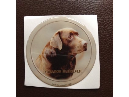 3D Samolepka 10 cm Labrador Retriever - hnědý - DOPRODEJ 1 ks