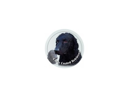 3D Samolepka 10 cm Curly Coated Retriever - černý - DOPRODEJ 1ks