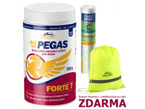 ArtiVit Pegas Forte VItaminC bag