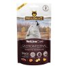 WB843263 Wolfsblut Snack VetLine Care Gastrointestinal Front 100g 4262374843263 1000px
