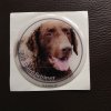 3D Samolepka 10 cm Curly Coated Retriever - hnědý - DOPRODEJ 1 ks