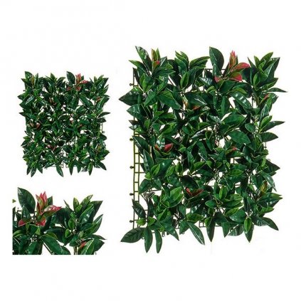 Dekor növény Zöld Műanyag (50 x 3 x 50 cm)