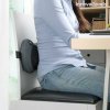 2 az 1-ben Kompakt Shiatsu masszírozó, InnovaGoods