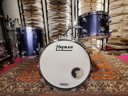 vintage Hayman Vibrasonic 70´ The Big Sound