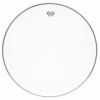 REMO ENCORE 10" Ambassador Coated