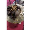 40195 1 perkuse wood bird wood waterfall small