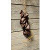 40195 2 perkuse wood bird wood waterfall small