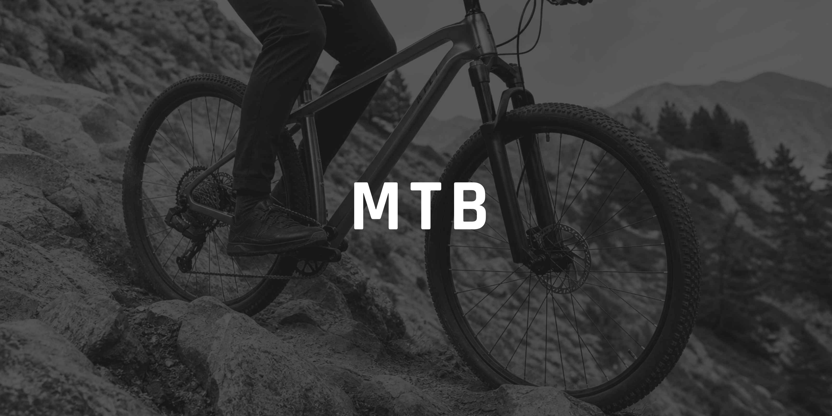 BICI carbon mountain bikes