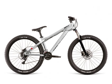 Bicykel BeFly HERO ONE silver