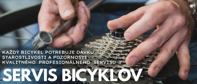 profesionalny servis