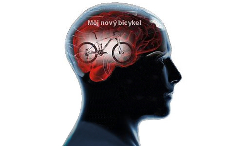 Aký bicykel zvoliť?