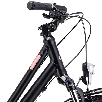 CTM-AMBER-matnacierna-staroruzova-2025-d1