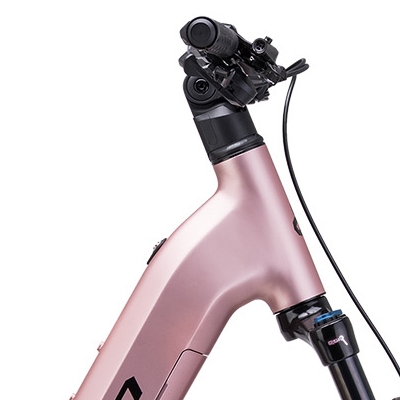 roxxy-gx-pro-staroruzova-d1