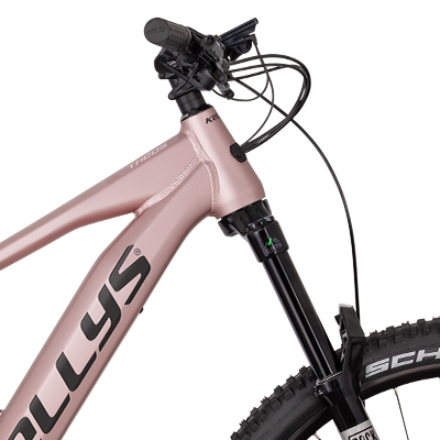 theos-rs30-p-rose-gold-29-27-d1
