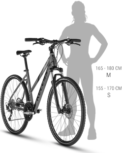CLEA-30