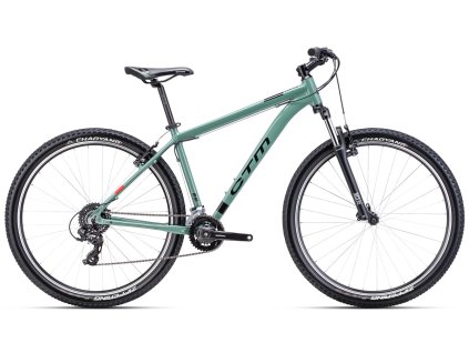ctm REIN 1 0 29 sivozelena m