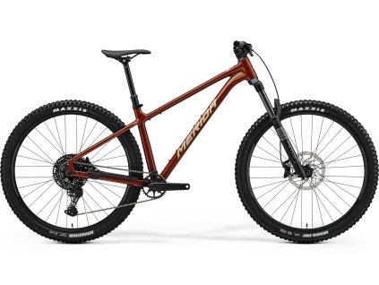 BIG TRAIL 500 mokbrn MY25 m