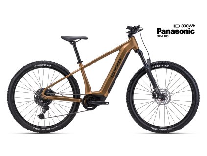 WIRE GX - matná zlatá XL (20)