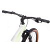 Horský dámsky bicykel CTM CHARISMA 2.0 29 2026  pistaciova