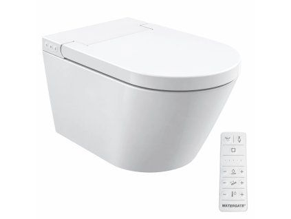 WG PM100